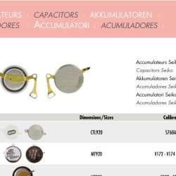 ACCUMULATORI