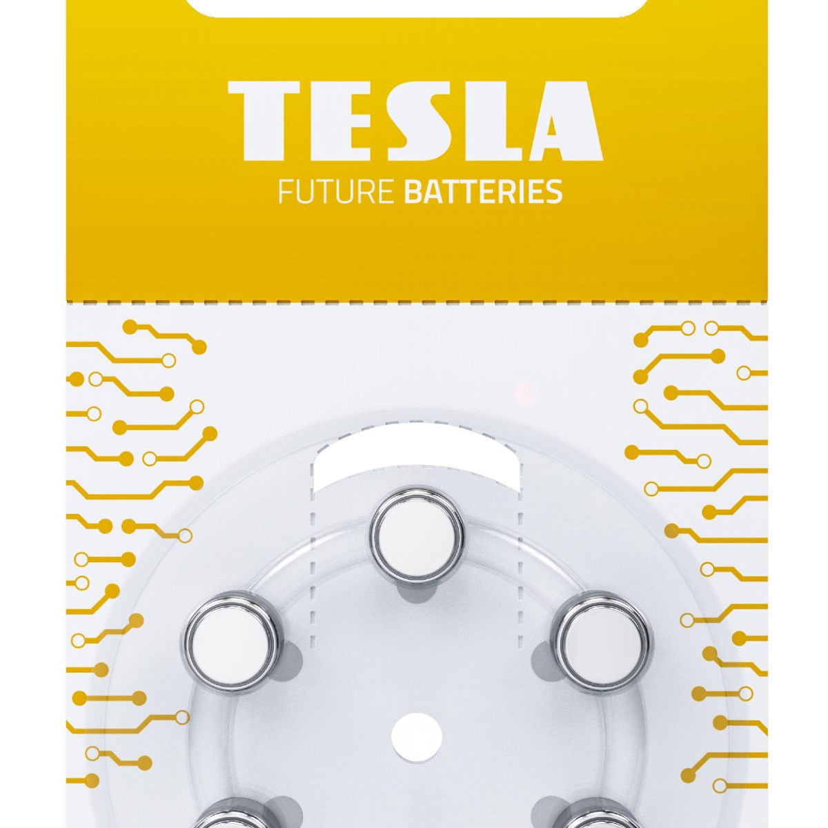 Batterie Tesla A10