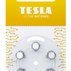 Batterie Tesla A10