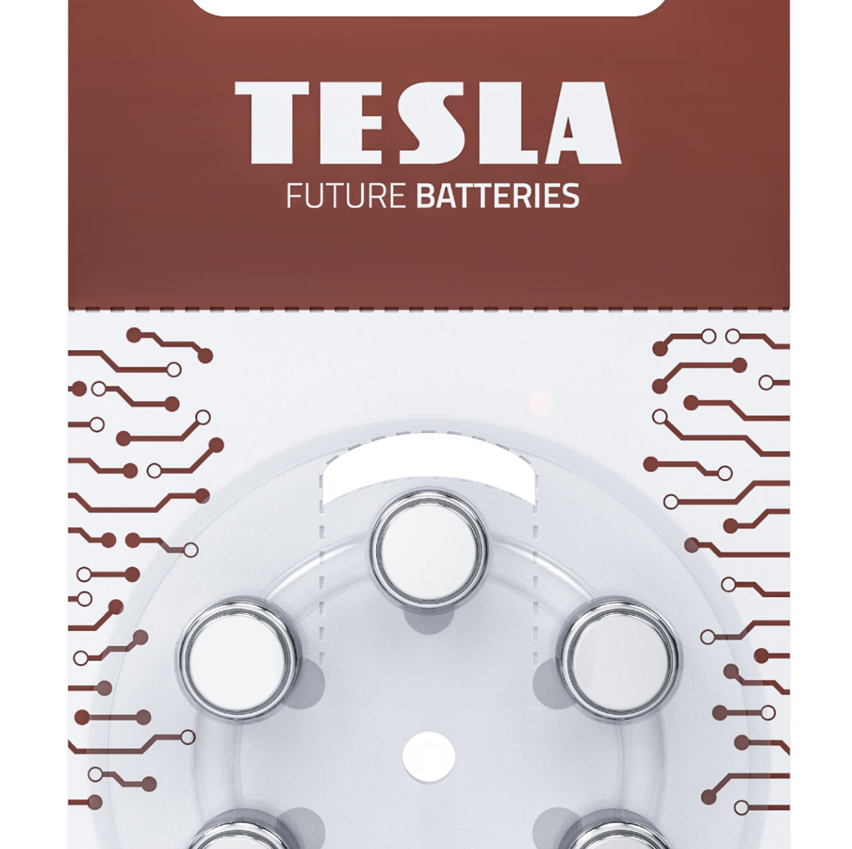 Batterie Tesla A312