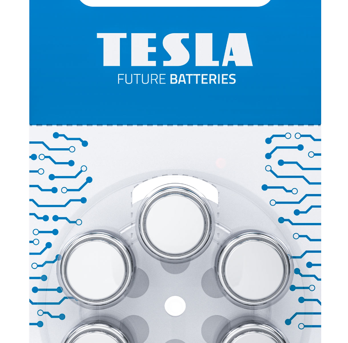 Batteria TESLA A675